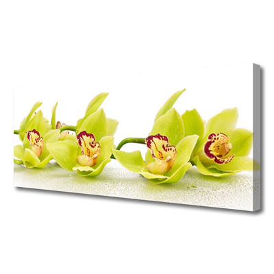 Quadro canvas Flores Planta Natureza
