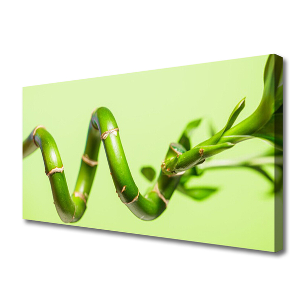 Quadro em tela Natureza da planta de bambu