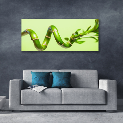 Quadro em tela Natureza da planta de bambu