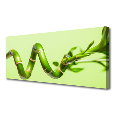 Quadro em tela Natureza da planta de bambu