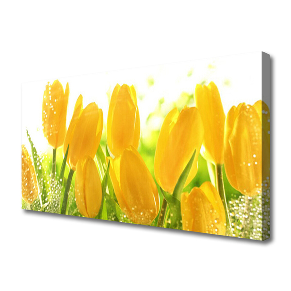 Quadro em tela Tulipas Flores Planta