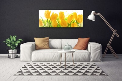 Quadro em tela Tulipas Flores Planta