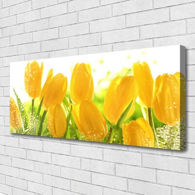 Quadro em tela Tulipas Flores Planta