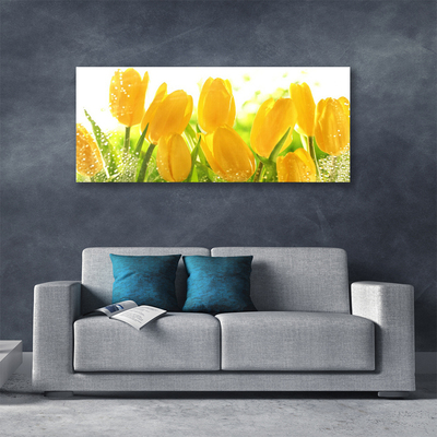 Quadro em tela Tulipas Flores Planta