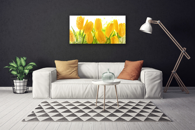 Quadro em tela Tulipas Flores Planta
