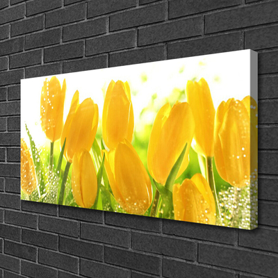 Quadro em tela Tulipas Flores Planta