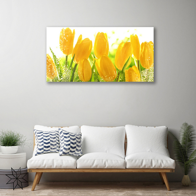 Quadro em tela Tulipas Flores Planta