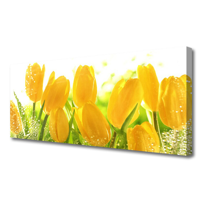 Quadro em tela Tulipas Flores Planta