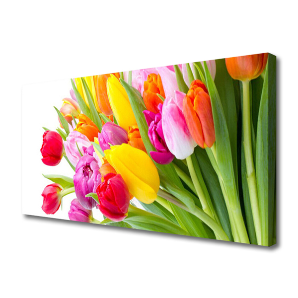 Quadro em tela Tulipas Flores Planta