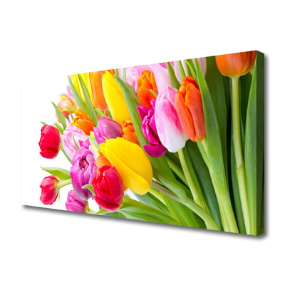 Quadro em tela Tulipas Flores Planta