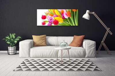 Quadro em tela Tulipas Flores Planta