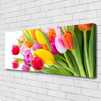 Quadro em tela Tulipas Flores Planta