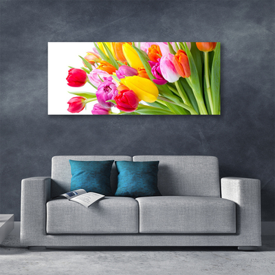 Quadro em tela Tulipas Flores Planta