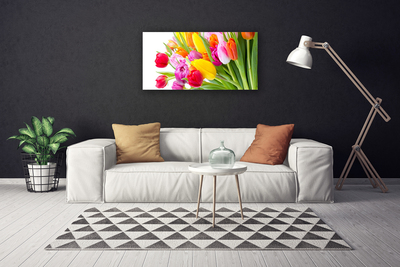 Quadro em tela Tulipas Flores Planta