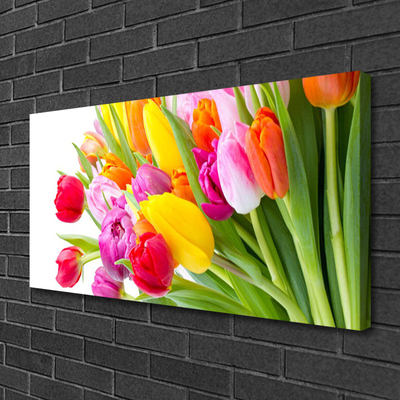 Quadro em tela Tulipas Flores Planta