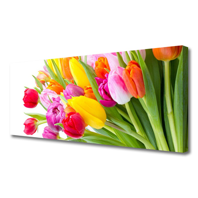 Quadro em tela Tulipas Flores Planta