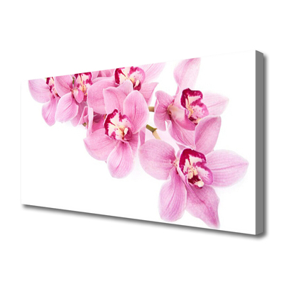 Quadro canvas Flores Planta Natureza