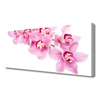 Quadro canvas Flores Planta Natureza