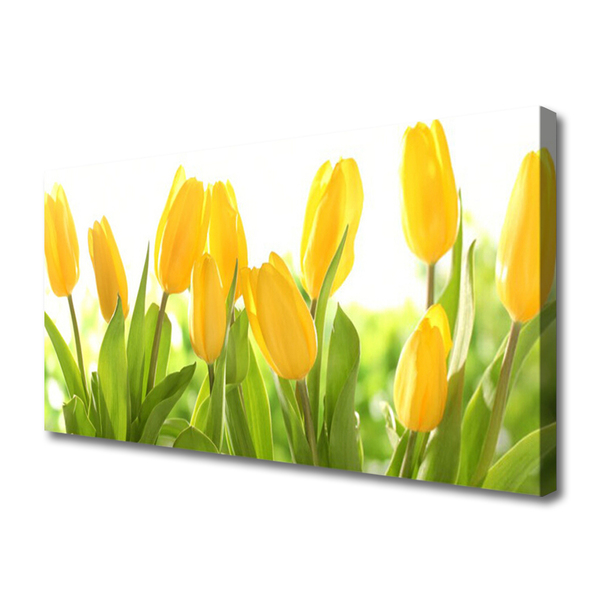 Quadro em tela Tulipas Flores Planta