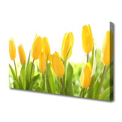 Quadro em tela Tulipas Flores Planta