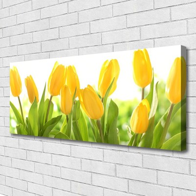 Quadro em tela Tulipas Flores Planta