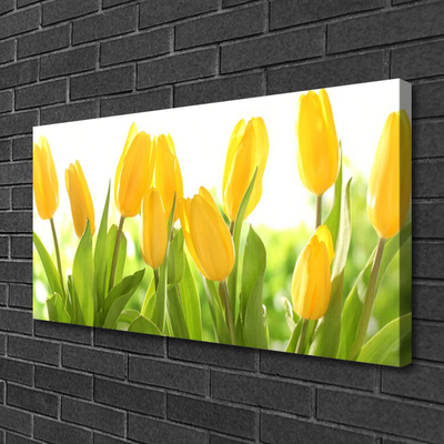 Quadro em tela Tulipas Flores Planta