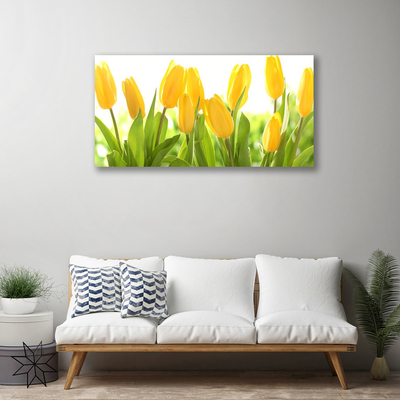 Quadro em tela Tulipas Flores Planta