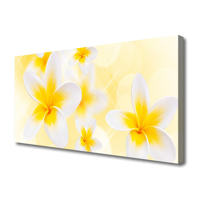 Quadro canvas Flores Planta Natureza