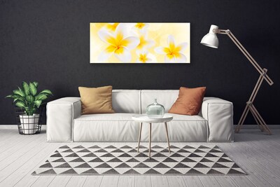 Quadro canvas Flores Planta Natureza