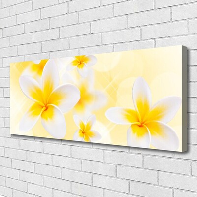 Quadro canvas Flores Planta Natureza