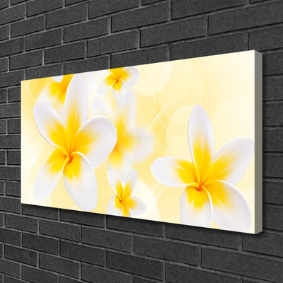 Quadro canvas Flores Planta Natureza