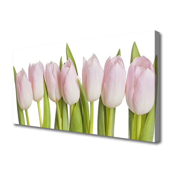 Quadro em tela Tulipas Flores Planta