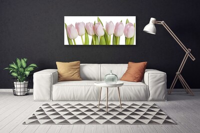 Quadro em tela Tulipas Flores Planta