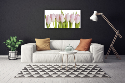 Quadro em tela Tulipas Flores Planta