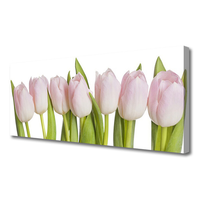 Quadro em tela Tulipas Flores Planta