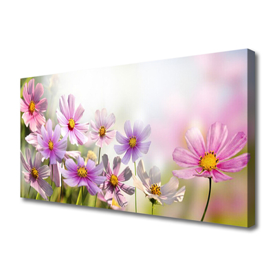 Quadro canvas Flores Planta Natureza