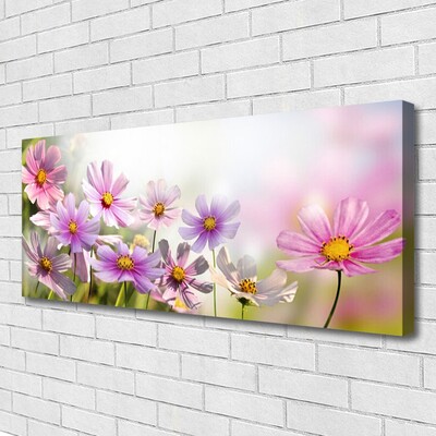 Quadro canvas Flores Planta Natureza