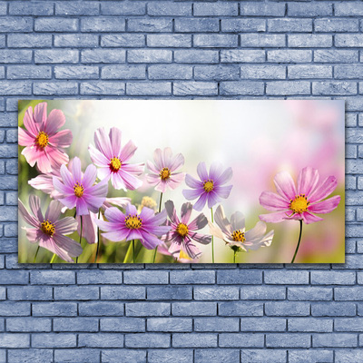 Quadro canvas Flores Planta Natureza