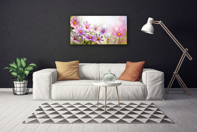 Quadro canvas Flores Planta Natureza