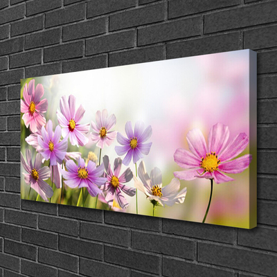 Quadro canvas Flores Planta Natureza