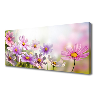 Quadro canvas Flores Planta Natureza
