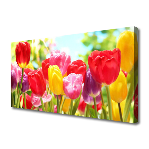 Quadro canvas Tulipas Flores Planta