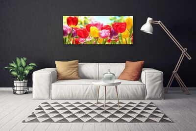 Quadro canvas Tulipas Flores Planta