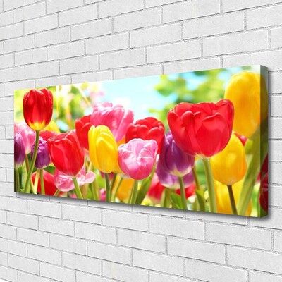 Quadro canvas Tulipas Flores Planta