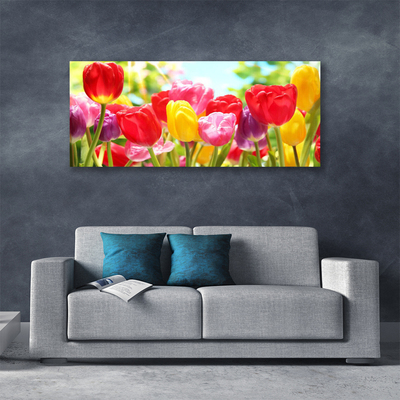 Quadro canvas Tulipas Flores Planta