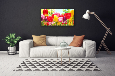 Quadro canvas Tulipas Flores Planta