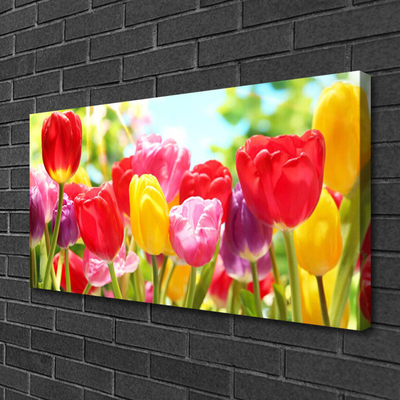 Quadro canvas Tulipas Flores Planta