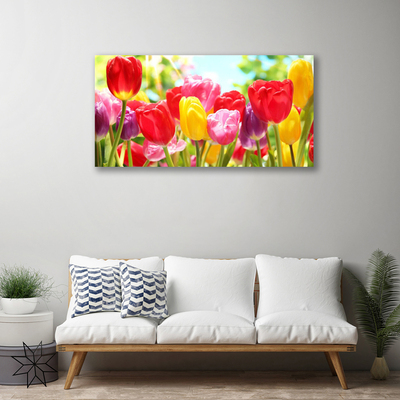 Quadro canvas Tulipas Flores Planta