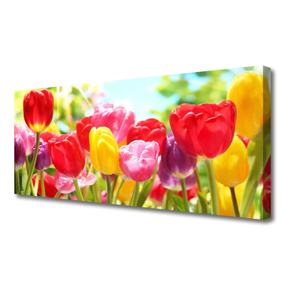 Quadro canvas Tulipas Flores Planta