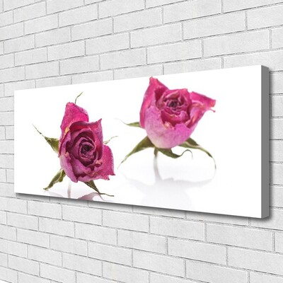 Quadro em tela Planta de flores rosas